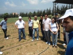 bitki koruma sorunlarına etkileri, pamukta zararlı böceklerle entegre mücadele, pamukta hastalık etmenleri ile entegre mücadele, pamukta hasada yardımcı yaprak döktürücü ve