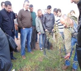 katılmıştır. Birinci gün enstitüde meyvecilikte budama konularında teorik eğitimler verilmiş ve enstitü çalışmaları tanıtılmıştır. 2. ve 3.