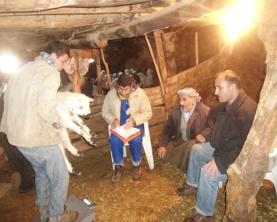 Eğitimde, damızlık kuzuların tartımlarının yapılarak kayıtların tutulması, kuzularda ağız sütünün faydaları, anaç koyunlarda bakım ve beslemenin süt verimine ve anaç koyunların sağlığına olan