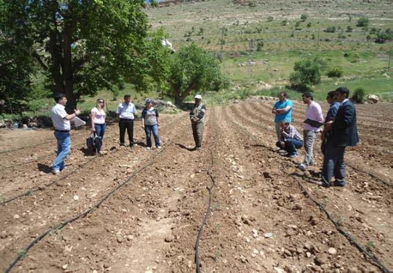 RESİM 256, RESİM 257 - Çiftlik Muhasebesi-Desteklemeler /Mardin 8 Mayıs 2013 tarihinde Mardin Kızıltepe İlçesi nde düzenlenen eğitime GTHB Mardin Kızıltepe