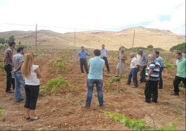 7 Haziran 2013 tarihinde Mardin-Savur da düzenlenen eğitime Savur ilçesinde kamu ve çiftçi örgütlerinde çalışan 7 teknik eleman katılmıştır.
