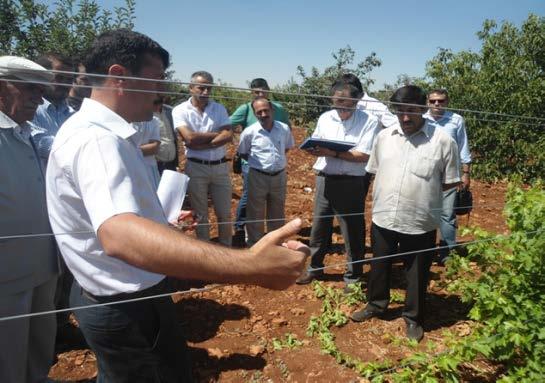 RESİM 315, RESİM 316 - Bağda Telli Terbiye /Mardin 4 Temmuz 2013 tarihinde Mardin-Ömerli de düzenlenen eğitime Ömerli ilçesinde kamu