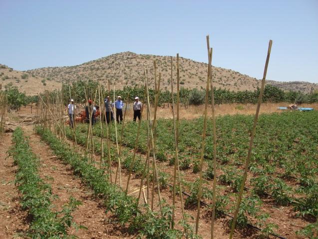 700 da alanda 9 adet tamburlu yağmurlama sulama, 1.