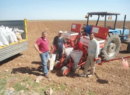 Değerlendirme Burada başarıya ekimden hasada kadar tüm safhalarda gerekli teknik bilgiyi üreticiye vermekle ulaşılmıştır. Bu projede kurumlar arsında iyi bir koordinasyon sağlanmıştır.