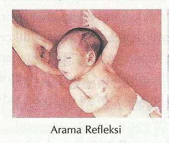 Arama Refleksi: Bebeğin yanağı ya da dudağına dokunduğumuzda başını uyarıldığı yöne çevirir ve ağzını açarak meme arar. Bu refleks 3. ayda kaybolur.