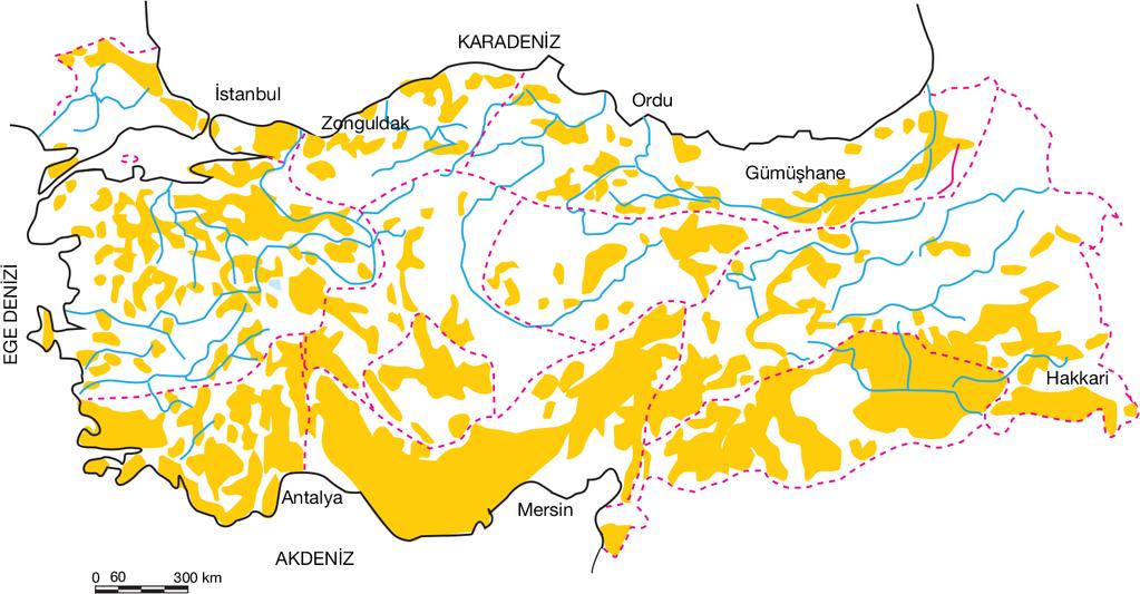 ve uzun zaman asıl şekillerinin bozulmaması nedeniyle ön plandadır. Bu yüzden karstik yer yüzü şekilleri denildiğinde öncelikle kireçtaşı ile kaplı araziler anlaşılır.