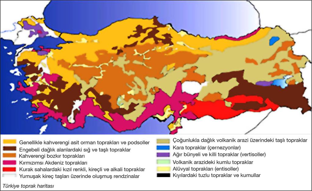 Yayınevi c) Terra-Rossa: Akdeniz ikliminin görüldüğü karstik sahaların toprağıdır. lkemizde en çok Akdeniz Bölgesi nde gözlenir. d) Podzol: Kışları nemli ve soğuk bölgelerde gözlenir.