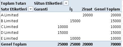 Oluşturduğunuz özet tabloyu yeniden düzenlemek için pencerenin sağ tarafında gelen Özet Tablo Alan Listeleri kısmını kullanabilirsiniz.