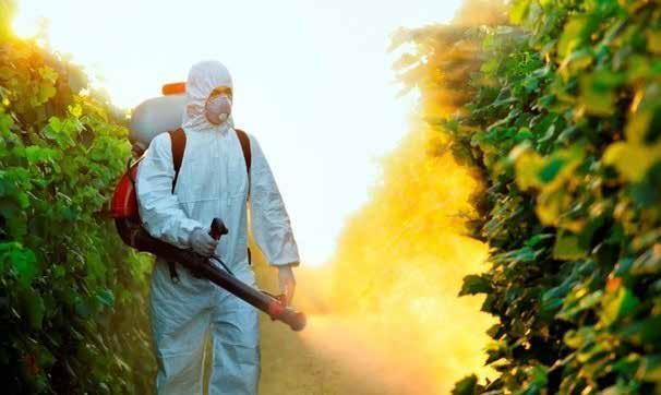 tildiği üzere pestisitlerin bazıları toksikolojik açıdan bir zarar oluşturmazken, bazılarının kanserojen, sinir sistemini etkileyici ve hatta mutasyon (genetik yapıyı bozucu etki) oluşturucu etkileri