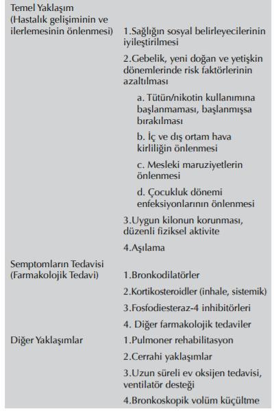 ilaçlar) temel olarak hastalığı değil, semptomları, alevlenmeleri, akciğer fonksiyonu ve yaşam kalitesini iyileştirici özelliktedir. Bu nedenle de yaşam boyu kullanılmaları gerekmektedir.