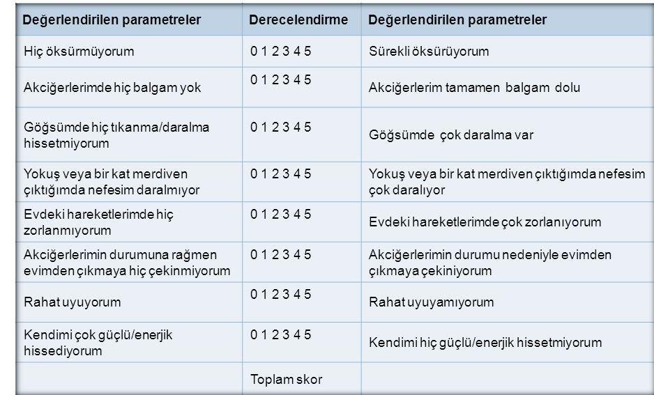 CAT DEĞERLENDİRMESİ 10 puan ve