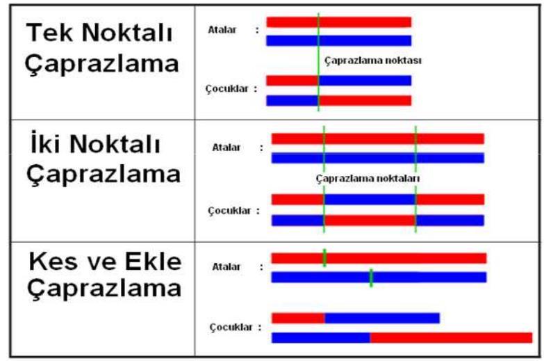 C) Sıralı Çaprazlama A = 9 8 4 5 6 7 1 3 2 10 B = 8 7 1 2 3 10 9 5 4 6 A = 9 8 4 2 3 10 1 H H H B