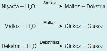 F. Biyomoleküller 1. Proteinler Amino asit polimerlerine proteinler denir. İnsan vücudunda farklı işlevleri olan özelleşmiş, yaklaşık 100000 farklı protein bulunur.