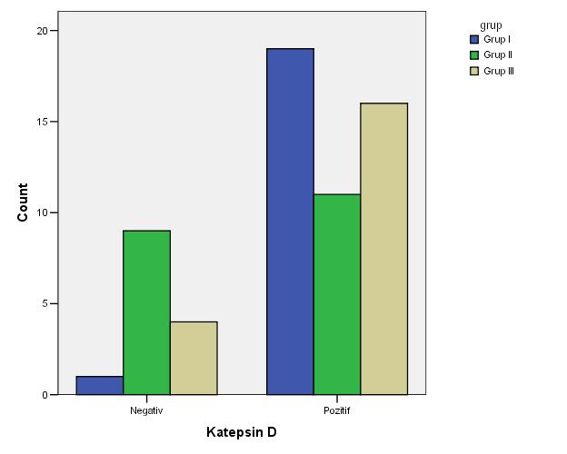 Kapsül invazyonu KD negatif KD pozitif n % n % Yok 13 32 27 68 Var 1 5 19 95 p=0,040 x²= 6,806 Tablo 4.