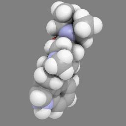 Kalsiyum Fosfatlar Yapısında Ca ve P atomlarının farklı sitokiyometrik oranlarda yer aldığı bileşiklerdir.