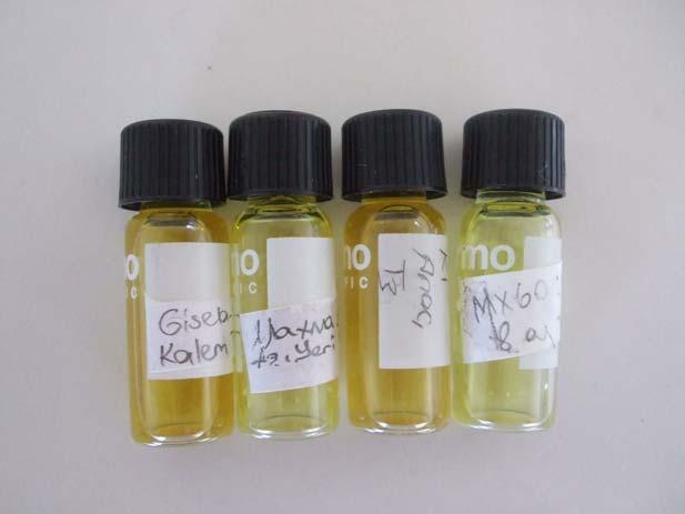 Şekil 3.3. Ekstrakte edilmiş örnekler 3.2.3.2. Toplam fenolik madde içeriklerinin belirlenmesi Toplam fenolik madde miktarının belirlenmesinde Folin-Ciocalteu kolorimetrik metodu kullanılmıştır.
