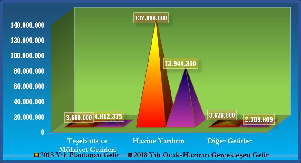 Grafik-5: 218 Ocak-Haziran Dönemi