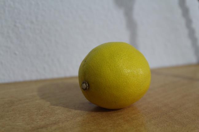 4.29. Rutaceae 4.29.1. Citrus limon (L.) Burm.f. ġekil 4.75.