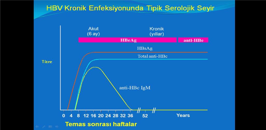 Kronik Hepatit B İnfeksiyondan sonraki altı ay