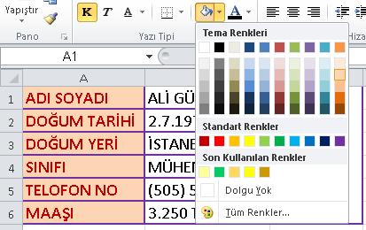 KENARLIK EKLEME: (Resim-7) (Resim-5) Resim-5 te gri çizgiler ve siyah renkte çizgiler görülmektedir.