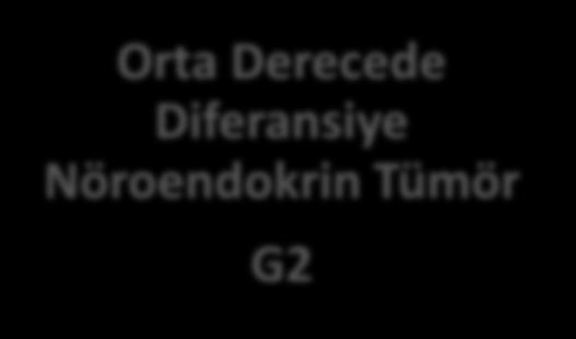 Derecede Diferansiye Nöroendokrin Tümör G2 Ki67