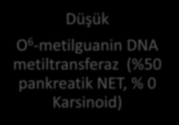 TEMOZOLAMID Kulke ve ark. Clin Cancer Res. 2009.