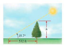 rağmen snuç, trignmetrik ranların bu tür prblemlere nasıl uygulandığını anlamada temel önem taşır. ÖRNEK 4: Ağacın Yüksekliğinin Bulunması Dev bir çınar ağacı, 5 ft uzunluğunda bir gölge luşturuyr.