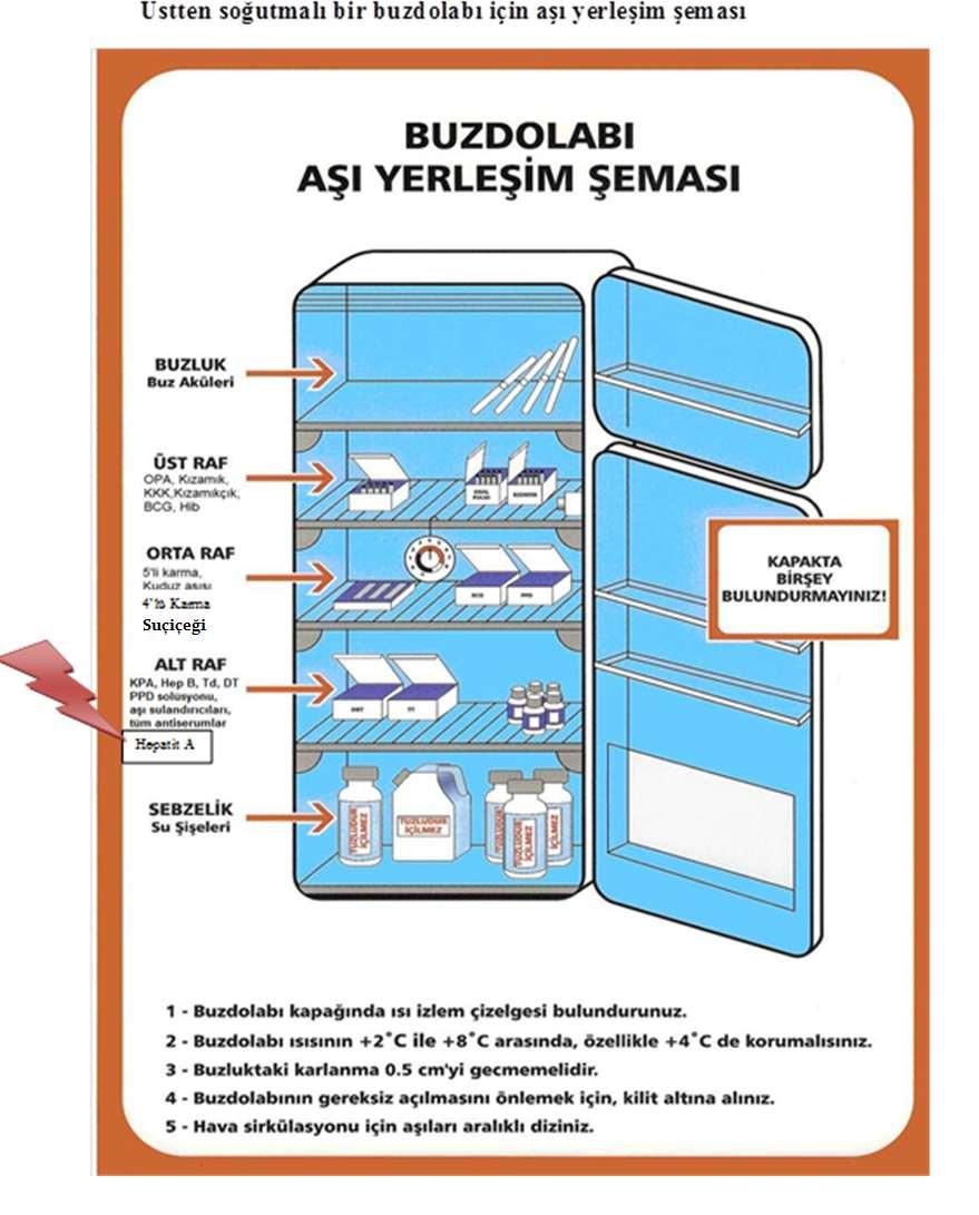 OPV, KKK, BCG DaBT-İPV-Hib, Suçiçeği, Kuduz