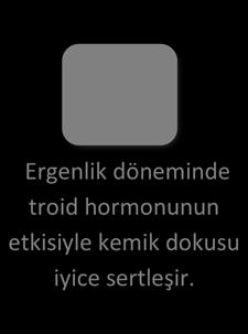 Fiziksel Gelişim I Erinlik dönemindeki kızlarda görülen fiziksel değişimlerin sırası; göğüsler büyür, genital kıllar görülür, koltuk altı kıllar görülür, boyları uzar, kalçaları omuzlarından daha