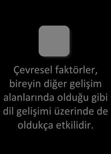 Çocuklarda Dil Gelişimi Çevresel Faktörler Çevresel faktörler, bireyin diğer gelişim alanlarında olduğu gibi dil gelişimi üzerinde de oldukça etkilidir.