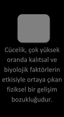 Fiziksel Gelişimi Takip Etme Bireysel Etkinlik Anoreksiya Nervoza hastalığının aile içi ilişkiler ve anne baba tutumları ile ilişkisini araştırınız.