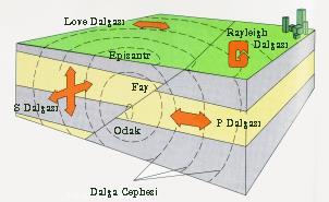 Depremin katı