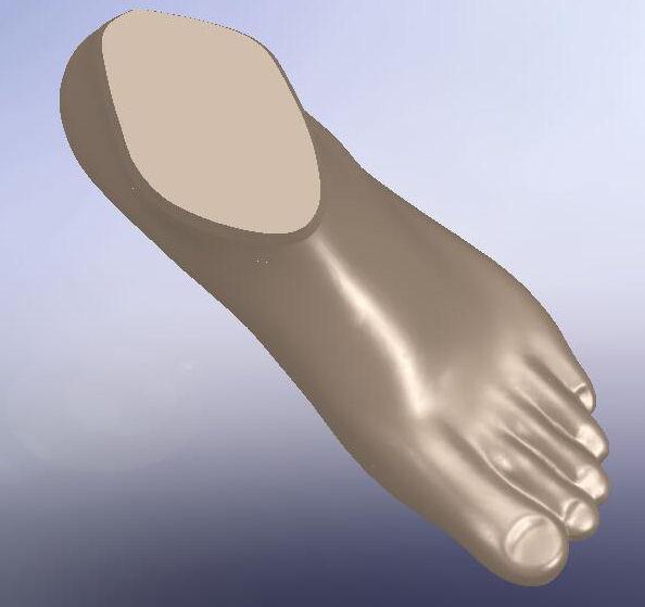 133 13. KOZMETİK KILIF TASARIMI VE ÜRETİMİ Tasarlımı tamamlanan kompozit ayak protezinin hastalar tarafından kullanılabilmesi için estetik beklentileri de karşılaması gerekmektedir.