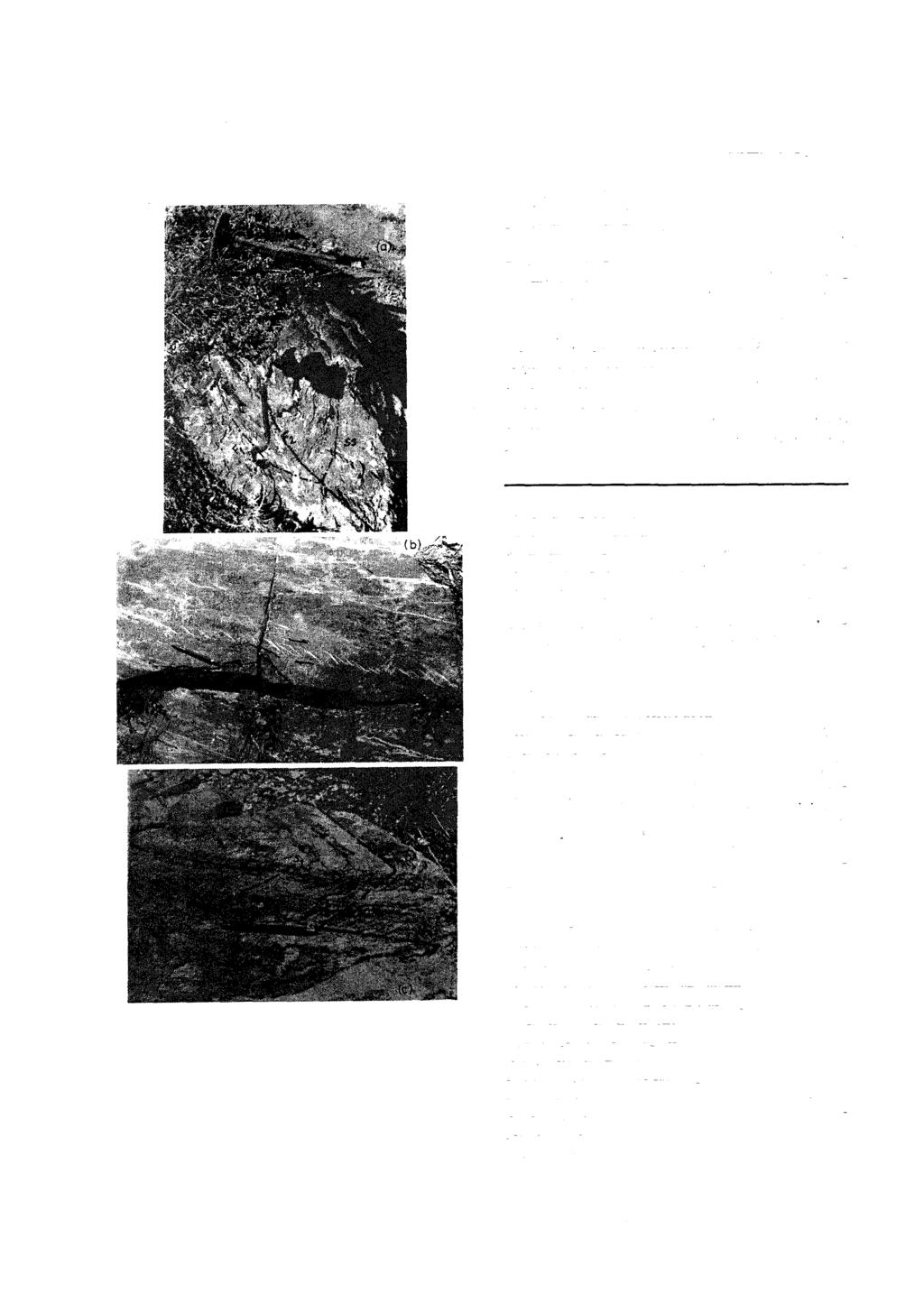 NALBANTÇILAR Şekü 6 a. Metakumtaşlarında izlenen tip-3 kıvrım girişim yapısı (Sultandede formasyonu, 500 m. Samtepe güneydoğusu). b.
