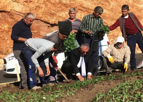 Belediyemiz sorumluluk alanlarında bulunan park, bahçe, orta refüj, cami,