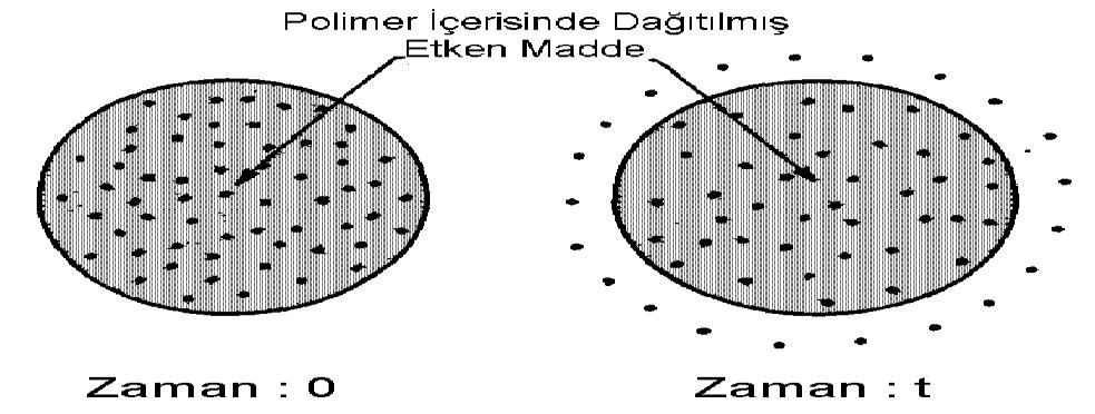 33 Şekil 2.17: Difüzyon kontrollü matriks sistemlerin şematik görünümü.