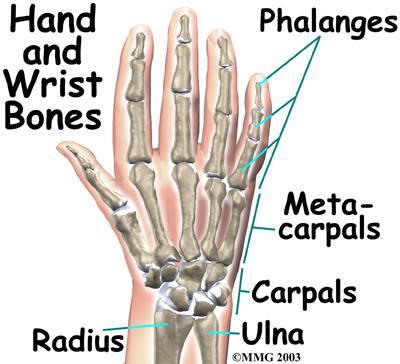 Bu sendrom el bileğindeki carpal tunnelin kalınlaşıp altından geçen sinirleri sıkıştırmasıdır. Tam fleksiyon ekstansiyondan kaçınılmalı veya uzun süreli kalınmamalıdır.