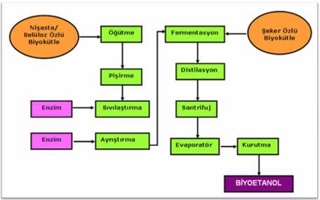 Biyoetanol