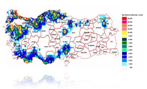 Türkiye Orman Kaynaklı