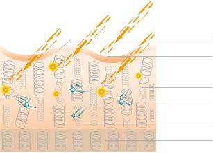 NANO GOLD DAILY CARE LR ZEITGARD Nanogold UVA IȘINLARININ ETKİLİ ȘEKİLDE EMİLMESİ Gün ışığı bağ dokularına ulaşarak cildi yaşlandırır.