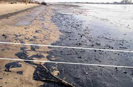 Şekil 31: Petrolle ağır bir şekilde kirletilmiş 300 metre uzunluğunda bir kum sahil. Petrol hacmi aşağıdaki gibi hesaplanabilmektedir: Ortalama kalınlık yaklaşık olarak 1 cm dir.