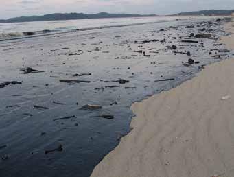 Giriş Petrolün sahile varışı, bir petrol kirliliği vakasının ilk göstergesi olabilmektedir.