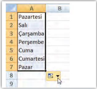 Bu fonksiyonlar; finansal, tarih ve saat, matematik ve trigonometri, istatistiksel, arama ve başvuru, veritabanı, metin, mantısal, bilgi, mühendislik ve küp alanın da olabilir.