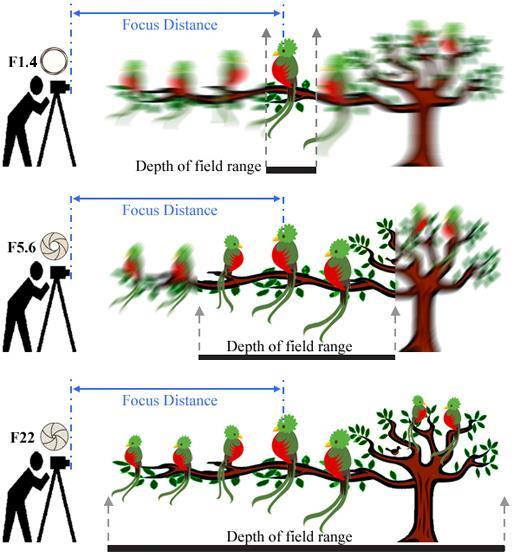 Netlik derinliği, odak derinliği (Depth of field