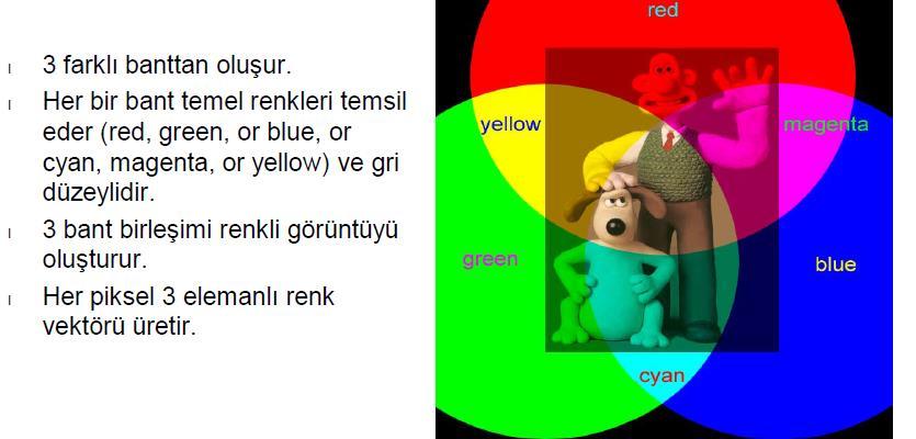 Renkli