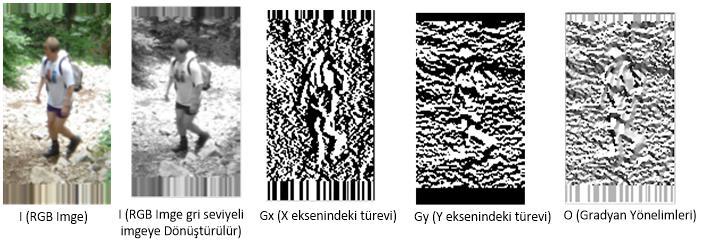 Şekil 2.11 Verilen imgenin gradyan yönelimlerinin elde edilmesi CoHOG özellik vektörü hesaplanırken öncelikle imgenin gradyan yönelimleri hesaplanır.