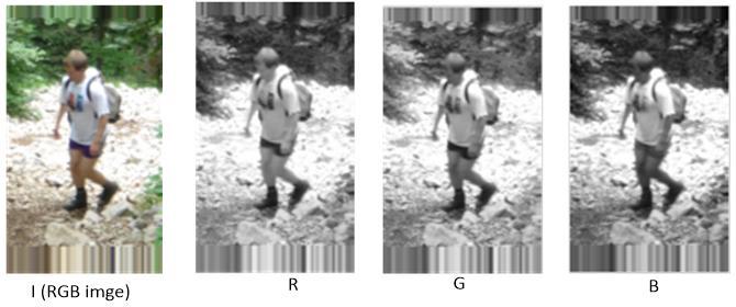 Ortalama gradyan yönelimleri Çift Açı Sunumu (double angle representation) kullanılarak elde edilir ve elde edilen gradyan yönelimleri 4 farklı açı aralığına etiketlenir.