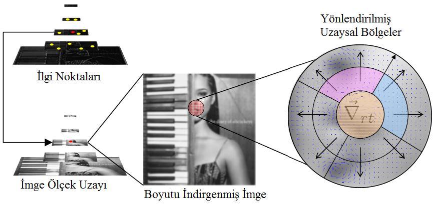 RIFF tanımlayıcılarının hesaplanması için öncelikle Gradyan Binding işlemini bilgi kaybı olmadan dönüşümden bağımsız yapmak için Radial Gradient Transform (RDT) yöntemi kullanılır.