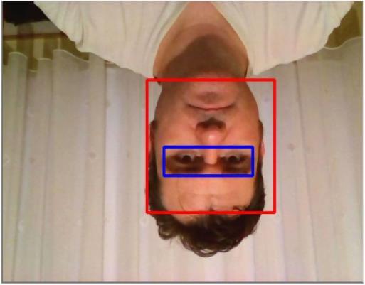 Şekil 3.7 Göz bölgesinin belirlenmesinde kullanılan düşey yüz oranları Şekil 3.8 Sol ve sağ göz bölgelerinin düşey ve yatay olarak ayrılması (a) (b) (c) Şekil 3.