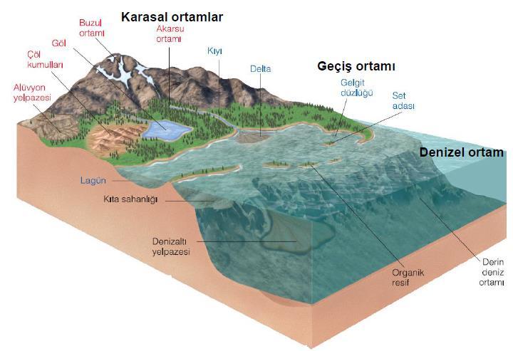 SEDİMANTER ORTAMLAR Önceki bölümde önceden oluşmuş kayaçların günlenmeye uğrayıp bozuştuğunu parçalandığını ve bunların su, rüzgâr ve buzul gibi taşıyıcı unsurlar ile taşındığını biliyoruz.